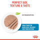 Royal Canin Starter Mother & Babydog – Hrană Umedă pentru Cățele Gestante, Lactante și Pui (de la Înțărcare până la 2 luni) – 195 g